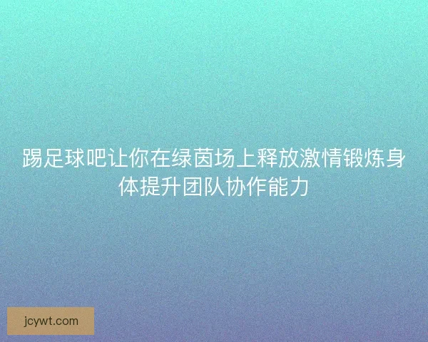 踢足球吧让你在绿茵场上释放激情锻炼身体提升团队协作能力